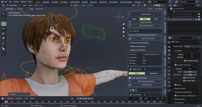 FULL FACE RIG