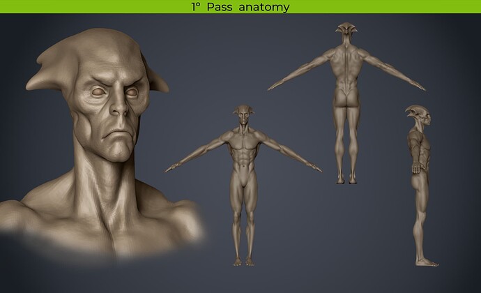1º Pass Anatomy