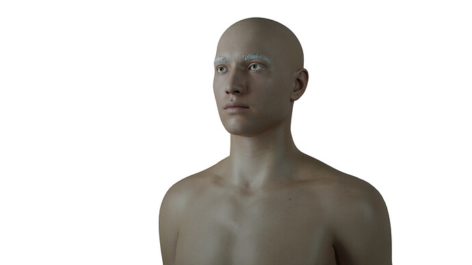 rendertest_Blender