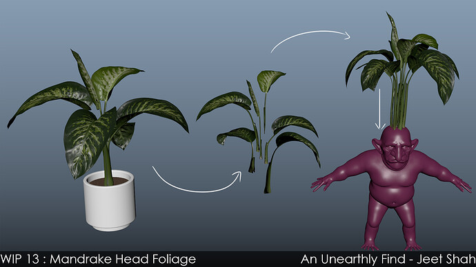 13_3_Mandrake_Head_Foliage