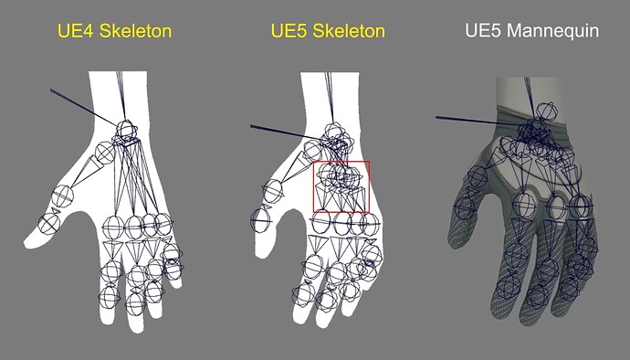 Extra bones on the wrist
