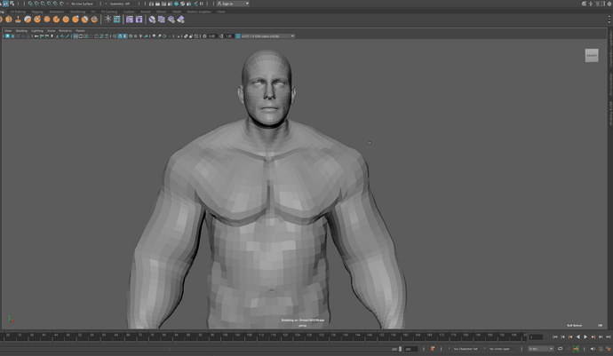 rudo_body_secondary details_wip