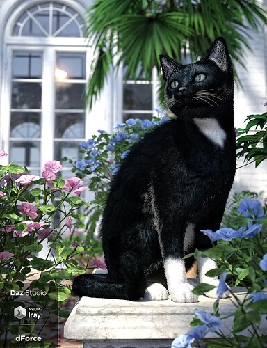 house cat