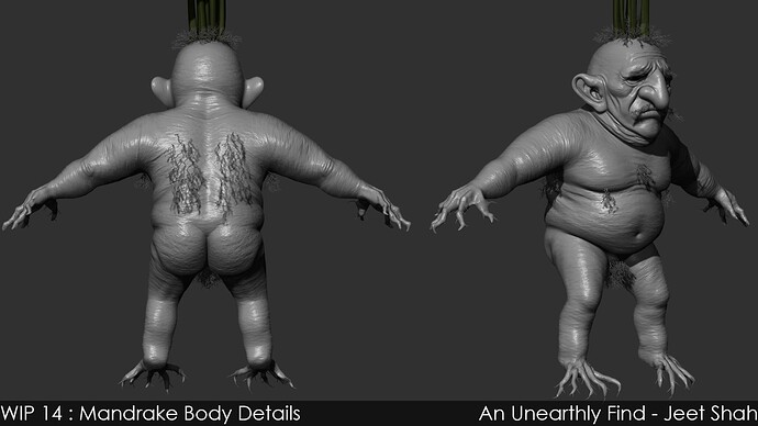 14_2_Mandrake_Body_Details