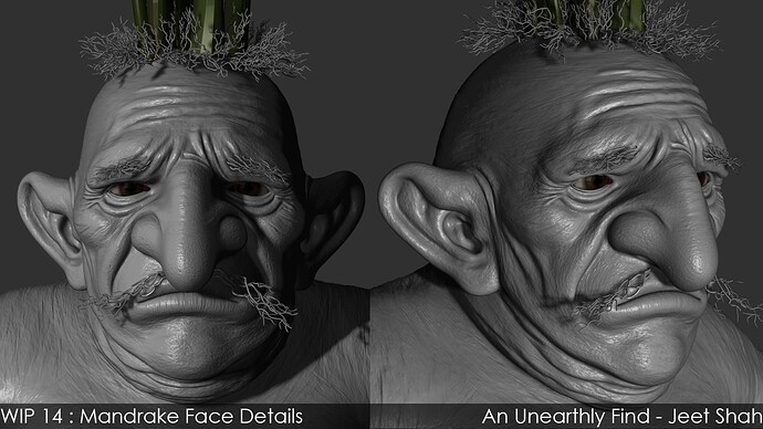 14_3_Mandrake_Face_Details