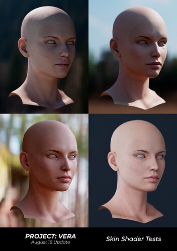 Skin 3