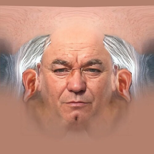 aifaceswap-351b5fca503d8c1c5d1022229b853ab6