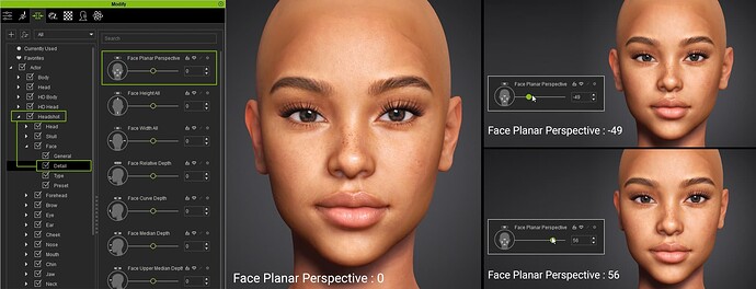 Professional-Lens-Correction