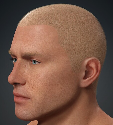 PRHair_Shaved