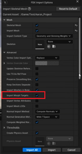 import morph target Option