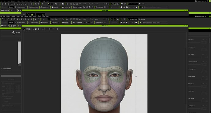 Screengrab front face mesh preview v1