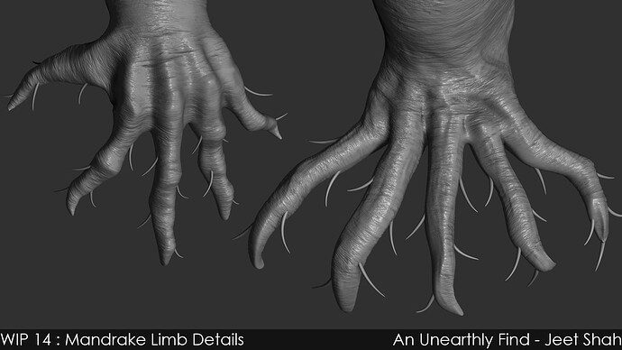 14_4_Mandrake_Limb_Details
