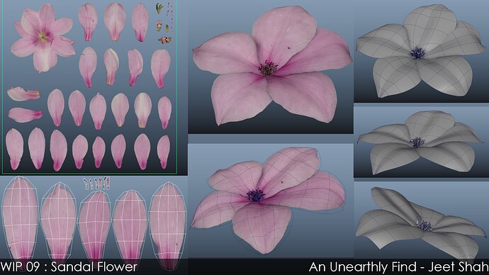 09_3_SandalFlower