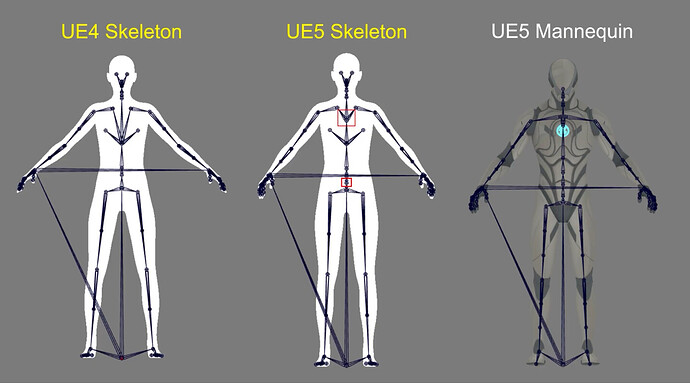 Extra spine bones