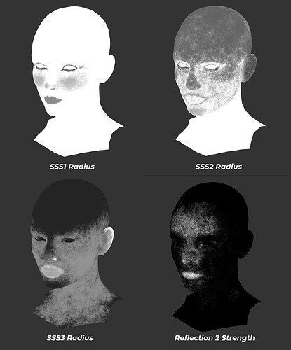 Skin 5b