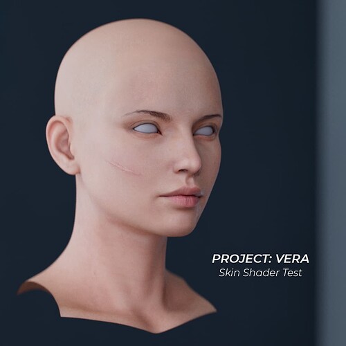 Skin 1A