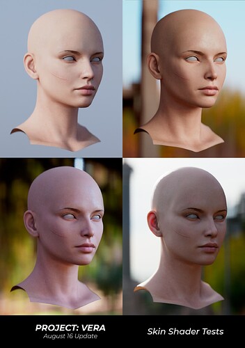 Skin 1