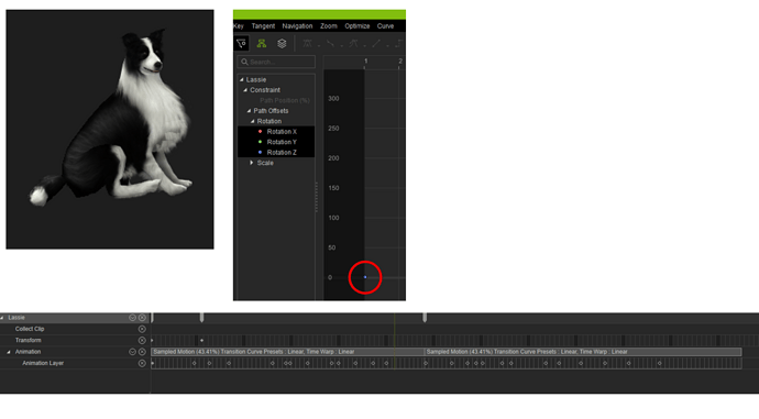 Layer Animation