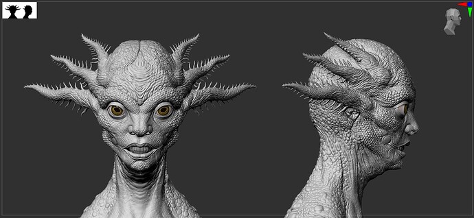 head_details