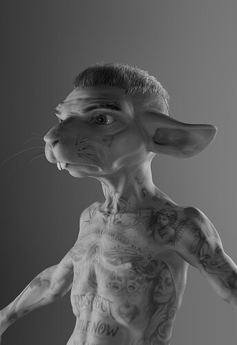 Test_profil_001
