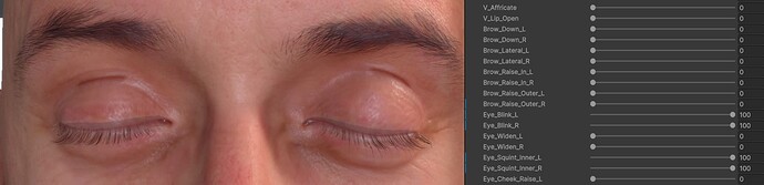 Eye_Blink_SquintInner_Corrective