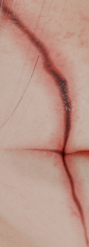 scar_blender