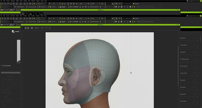 Screengrab side face mesh preview v1