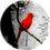 Cary_B