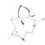 deikvic