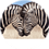 The_Zebra